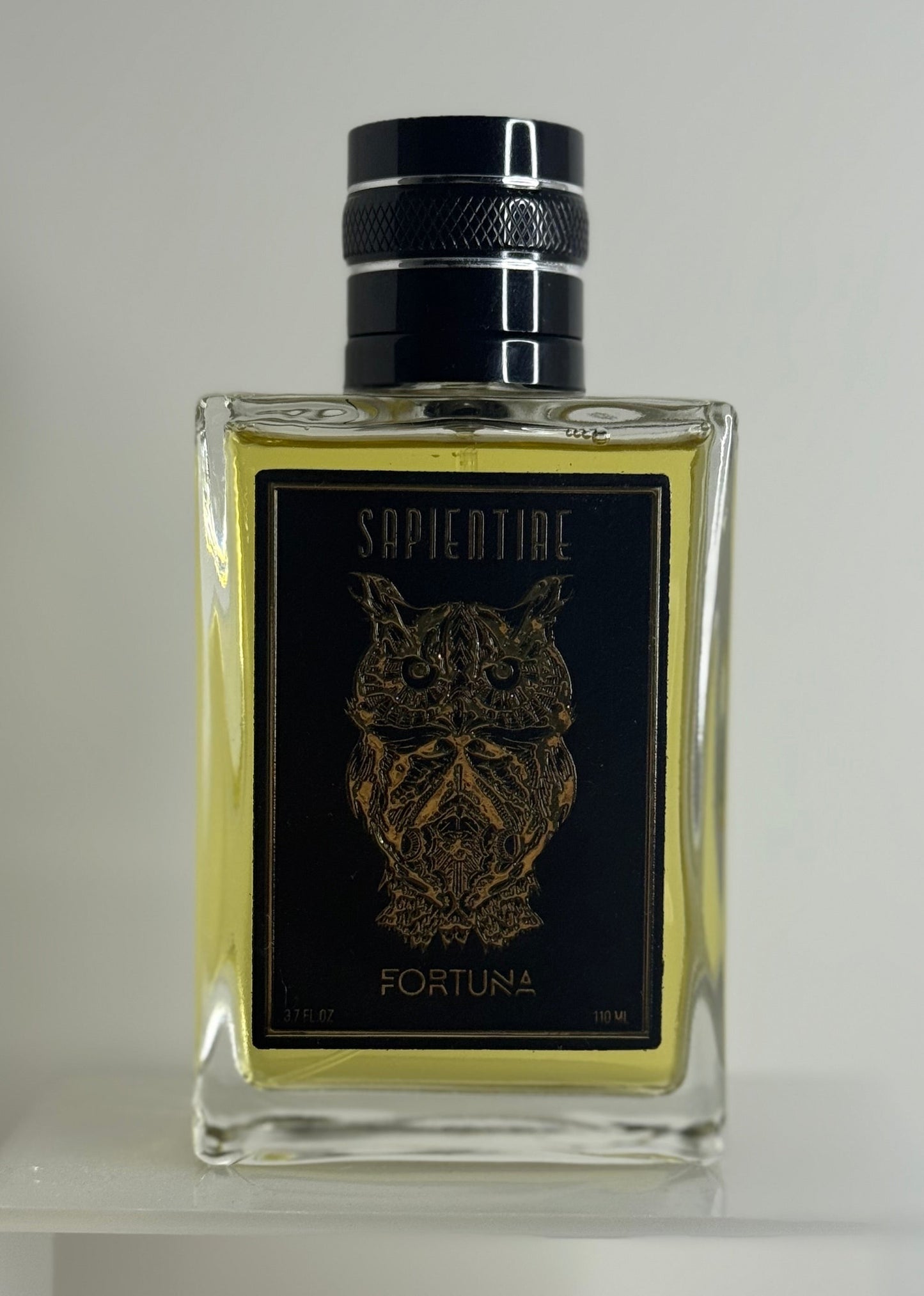 Sapientiae Fortuna